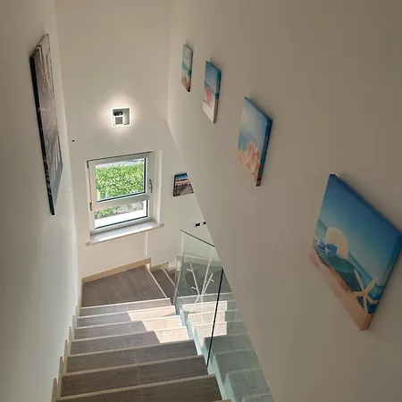 Magnolia Francavilla Al Mare