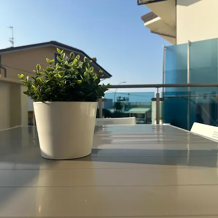 Magnolia Francavilla Al Mare