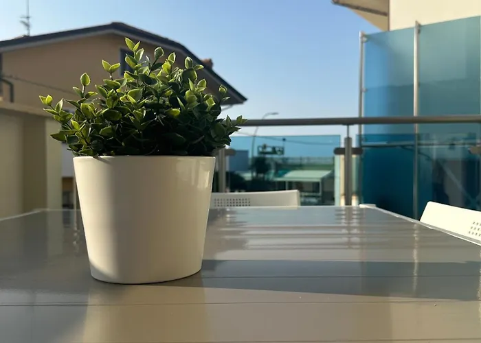 Magnolia Francavilla Al Mare